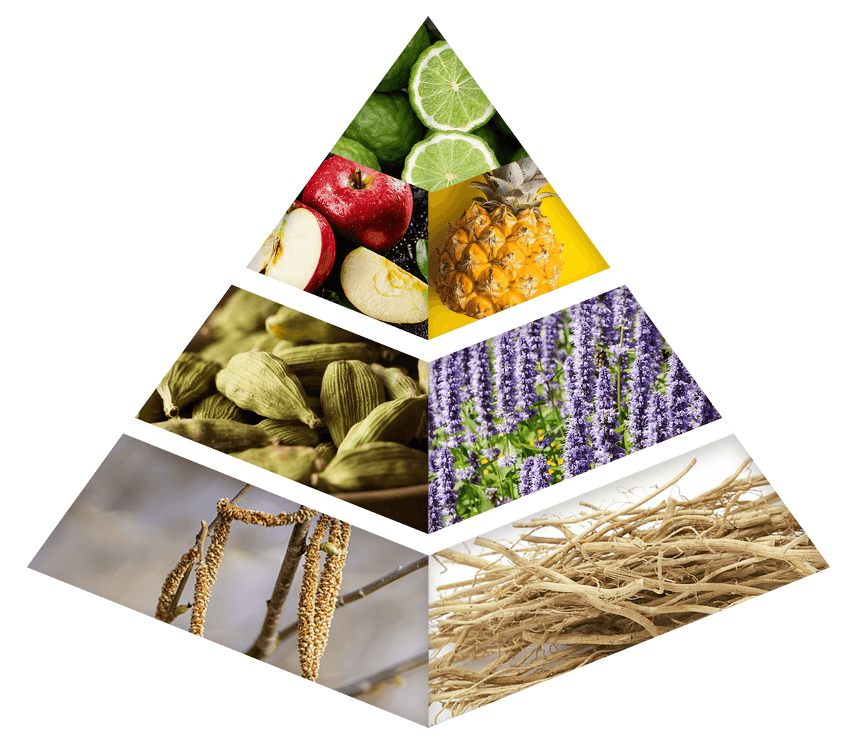 Fragrance Notes