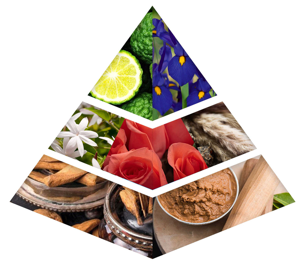 Fragrance Notes